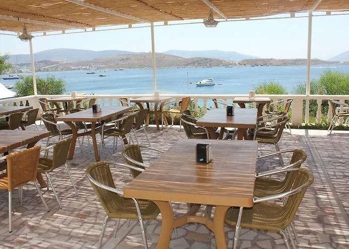 Akvaryum