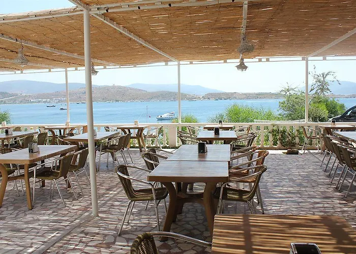 Akvaryum 3* Gümbet