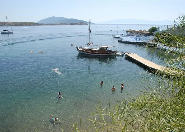 Akvaryum