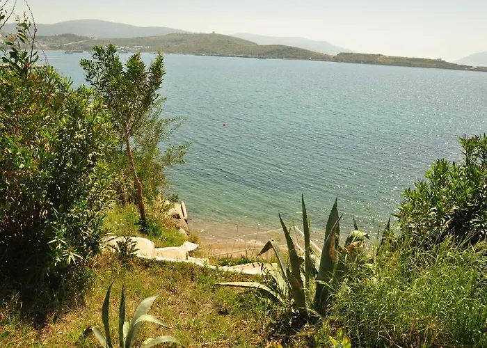 Akvaryum Gümbet