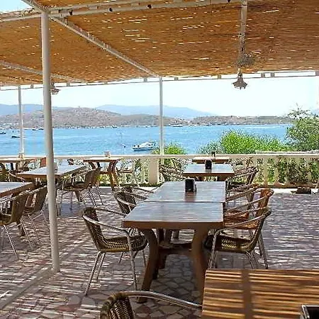 Akvaryum