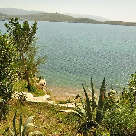 Akvaryum Gümbet