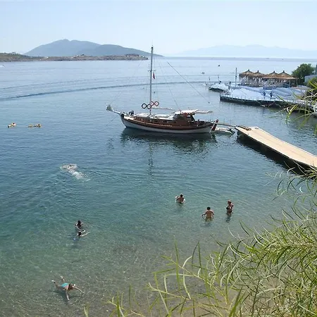 Akvaryum